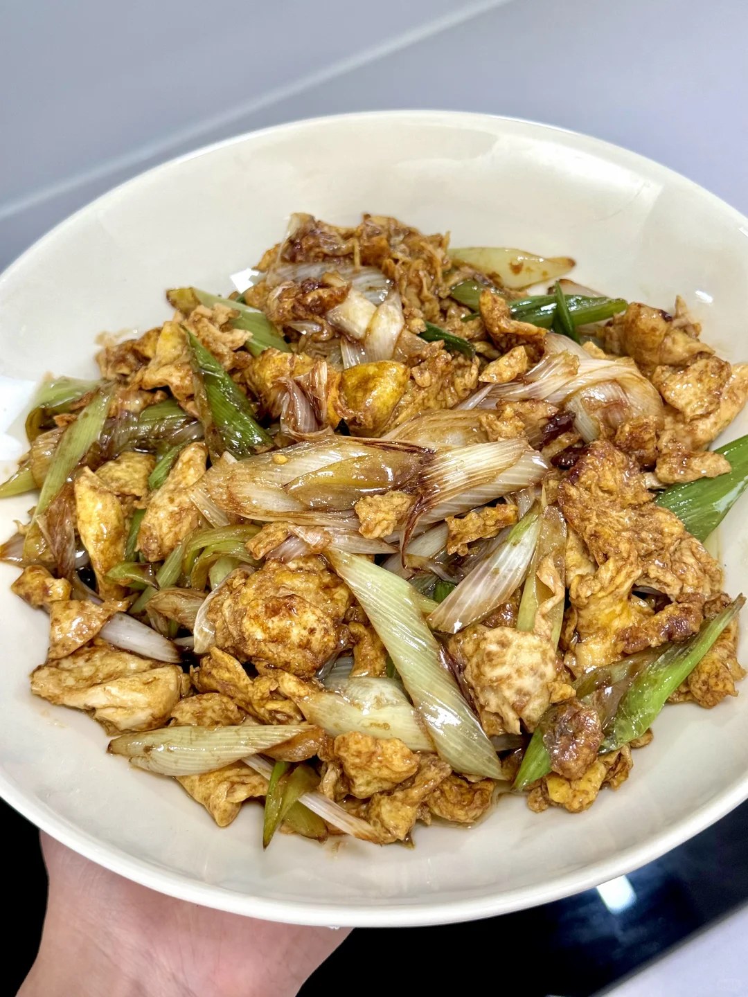 Egg pieces and pale scallion sections in a brown sauce.